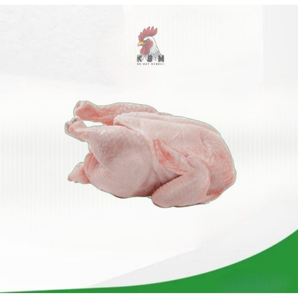 ayam potong broiler 1,4 kg