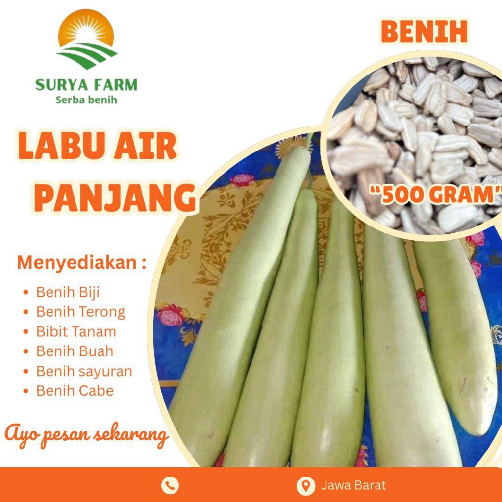 Benih Biji Labu Labu Air Panjang Kemasan  /Bibit Labu Air panjang Paket Combo