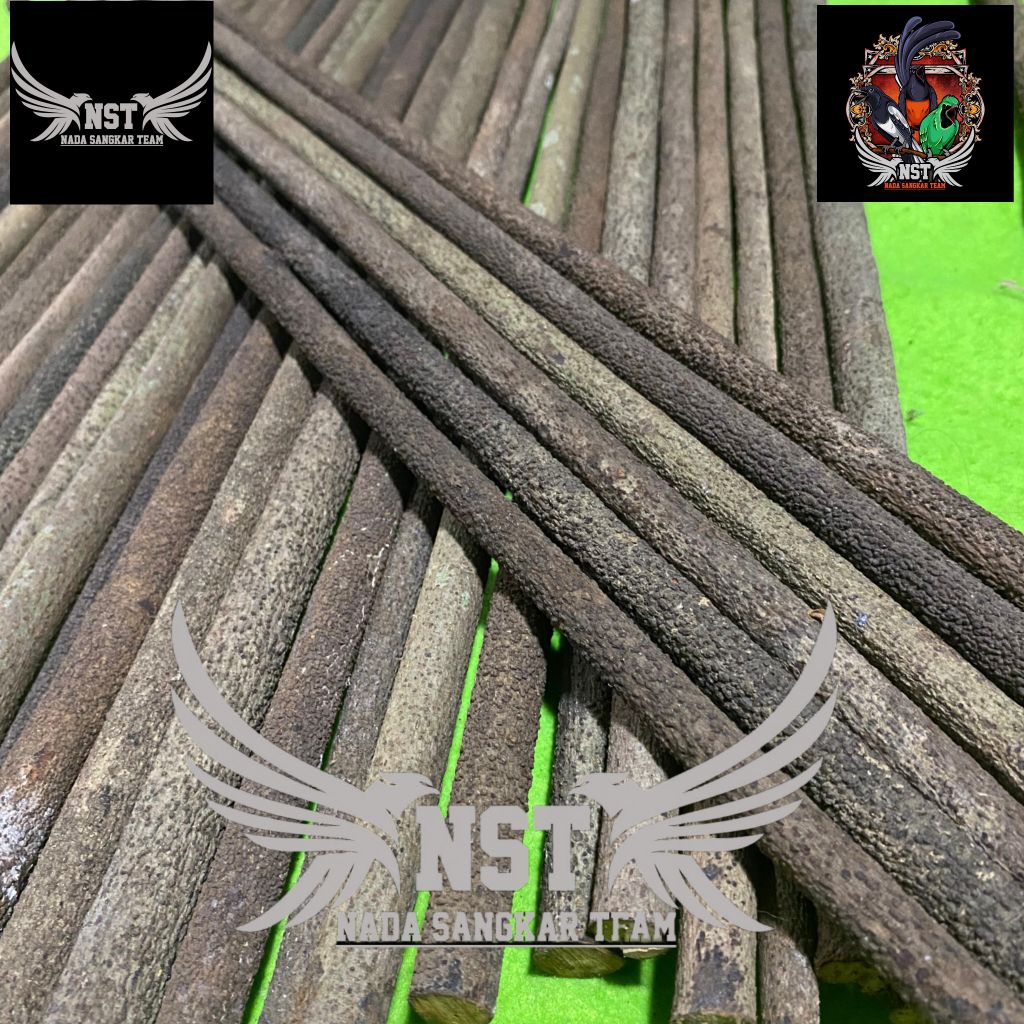 TANGKRINGAN ASEM BALI KENARI GRADE A SUPER SERAT KASAR