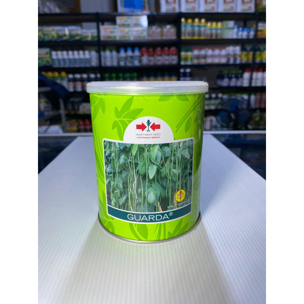 BENIH KACANG PANJANG GUARDA PT.PANAH MERAH