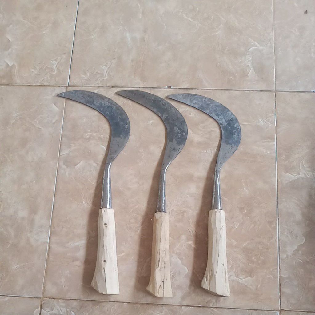 Arit Tajam,Arit rumput Tajam,Pemotong rumput.asli buatan madura, baja isen.Perkakas Berkebun