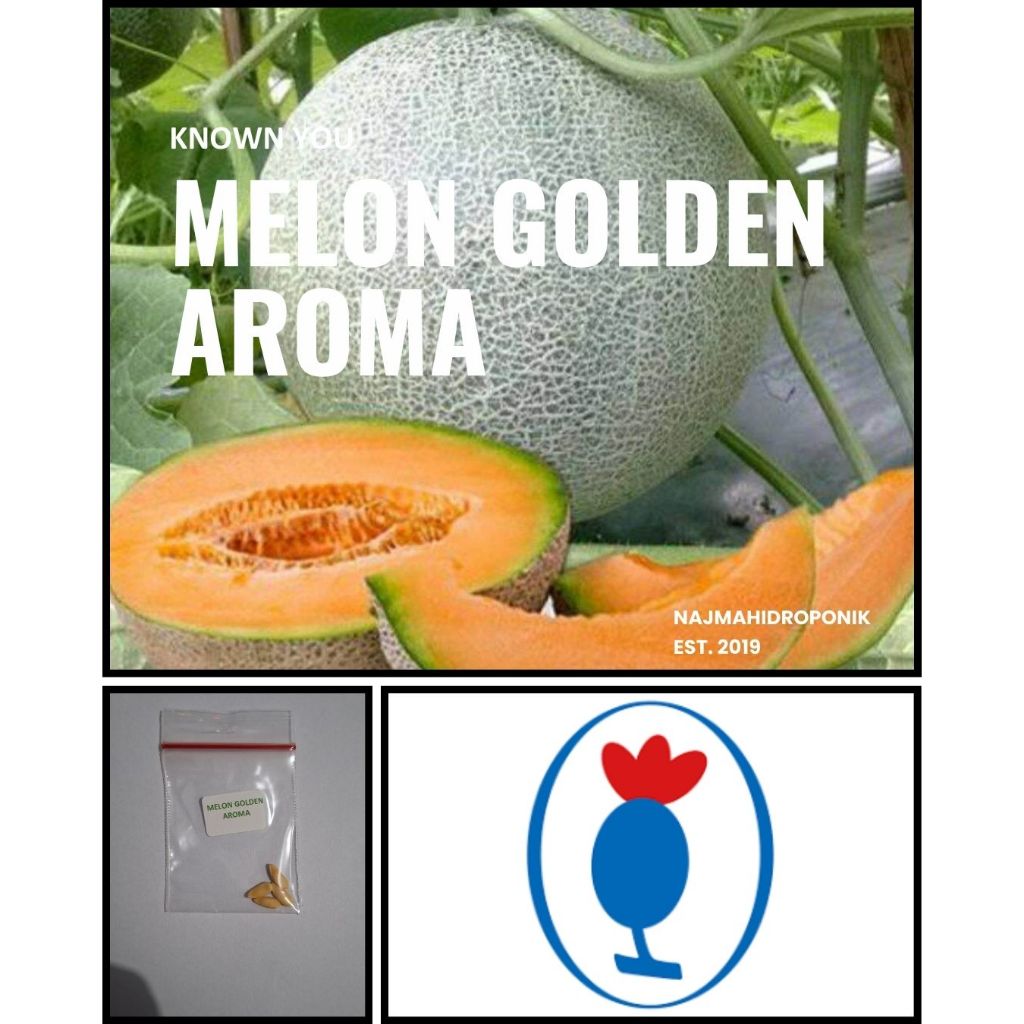 4 Benih Melon Golden Aroma Repacking (Known You)