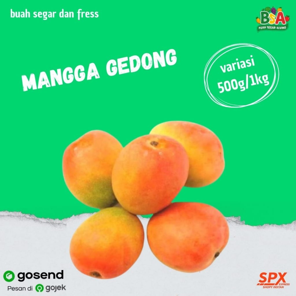 MANGGA GEDONG/GINCU SEGAR BANDUNG
