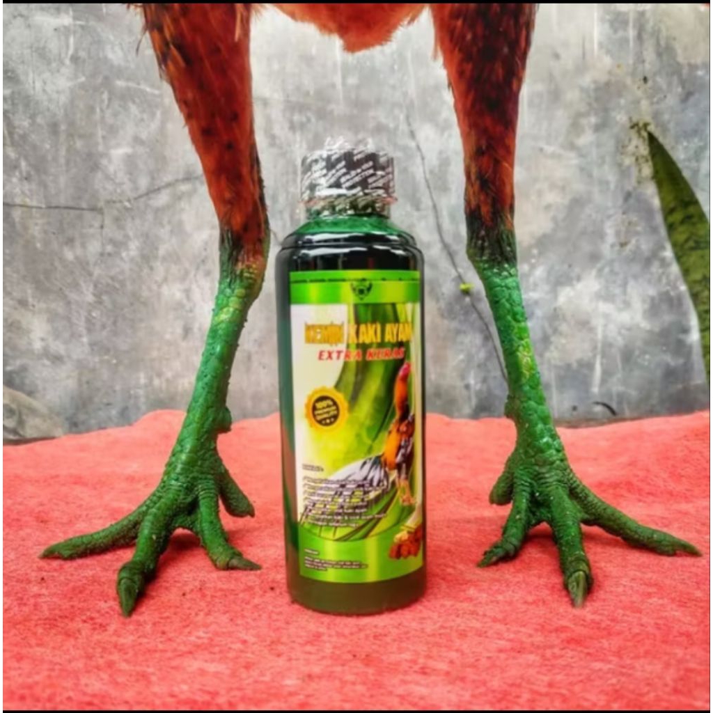 Kemin Kaki Ekstra Keras Sisik Kaki Ayam Keras Pukulan Keras Kemin Getah Gambil Asli Persiapan Ayam A