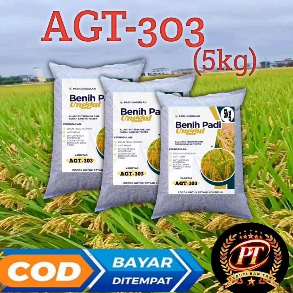 BENIH BIBIT PADI AGT 303/PADI UNGGUL 303 AGT KEMAS
