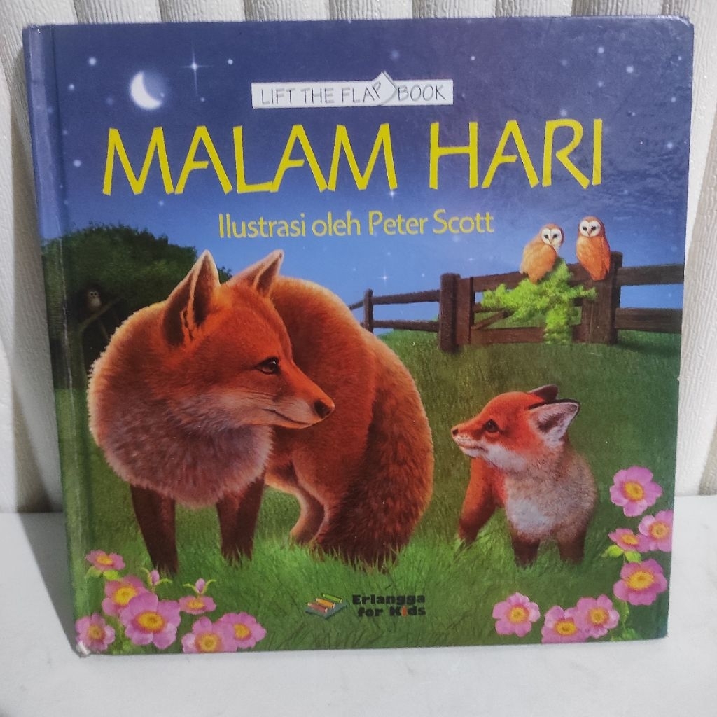 Lift the flap book • malam hari • ilustrasi oleh Peter Scott • Erlangga for kids