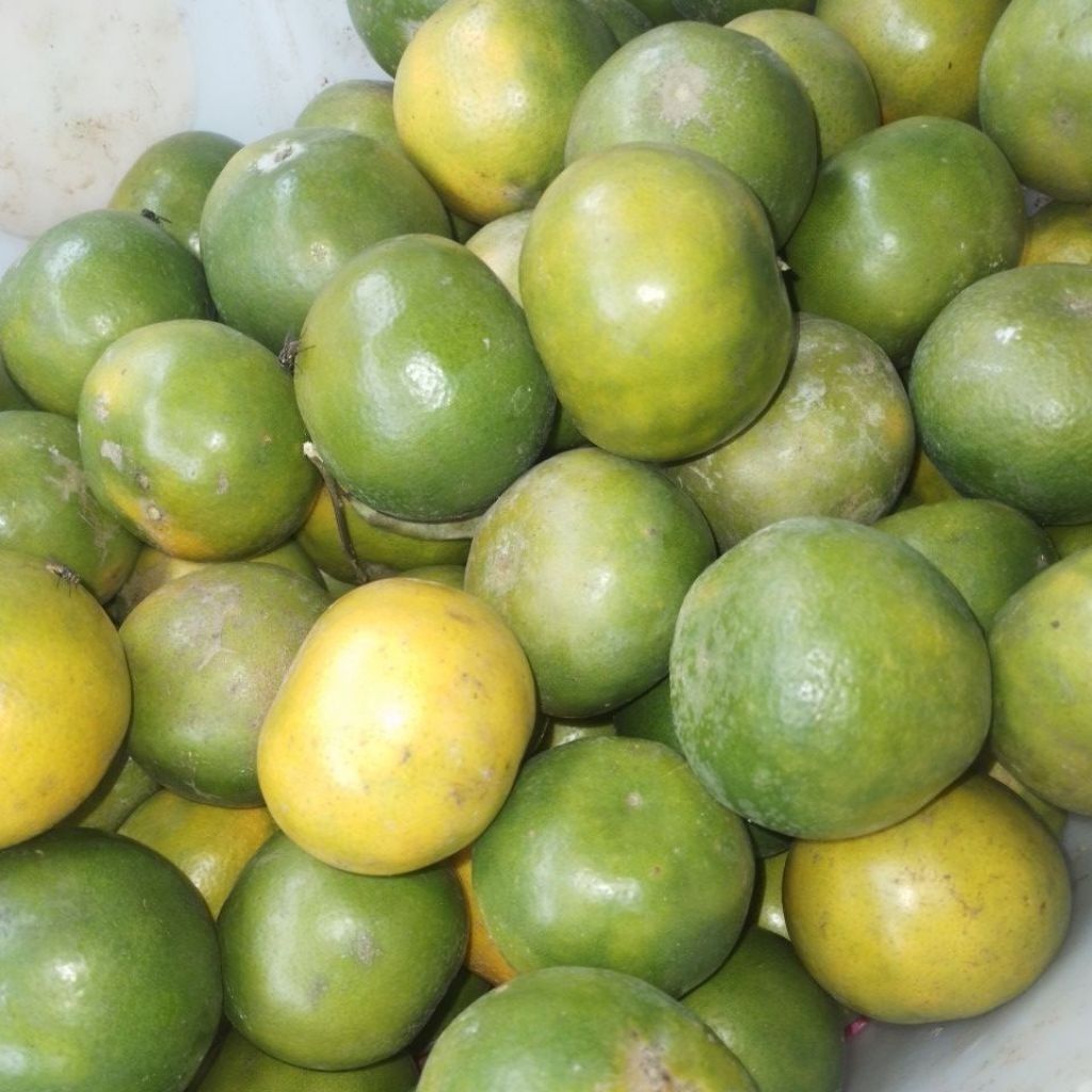 PROMO jeruk bali 1 kg