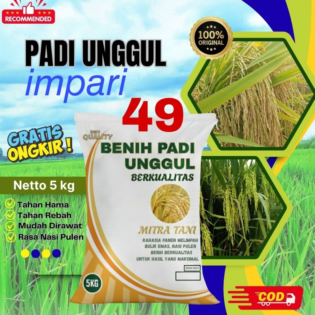 bibit padi inpari 49 kemasan 5kg