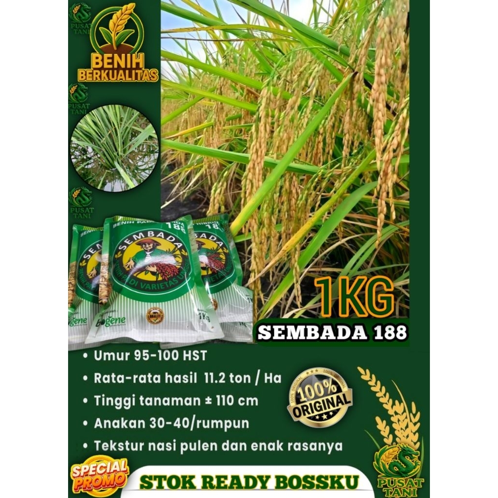 BENIH PADI SEMBADA 188 ASLI KEMASAN 1KG