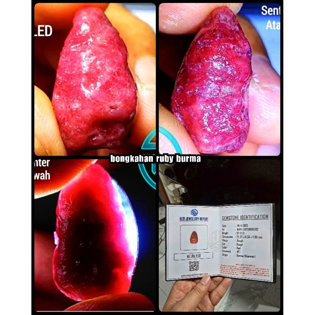 natural 100% rough ruby burma myanmar ( pigeon blod HQ )