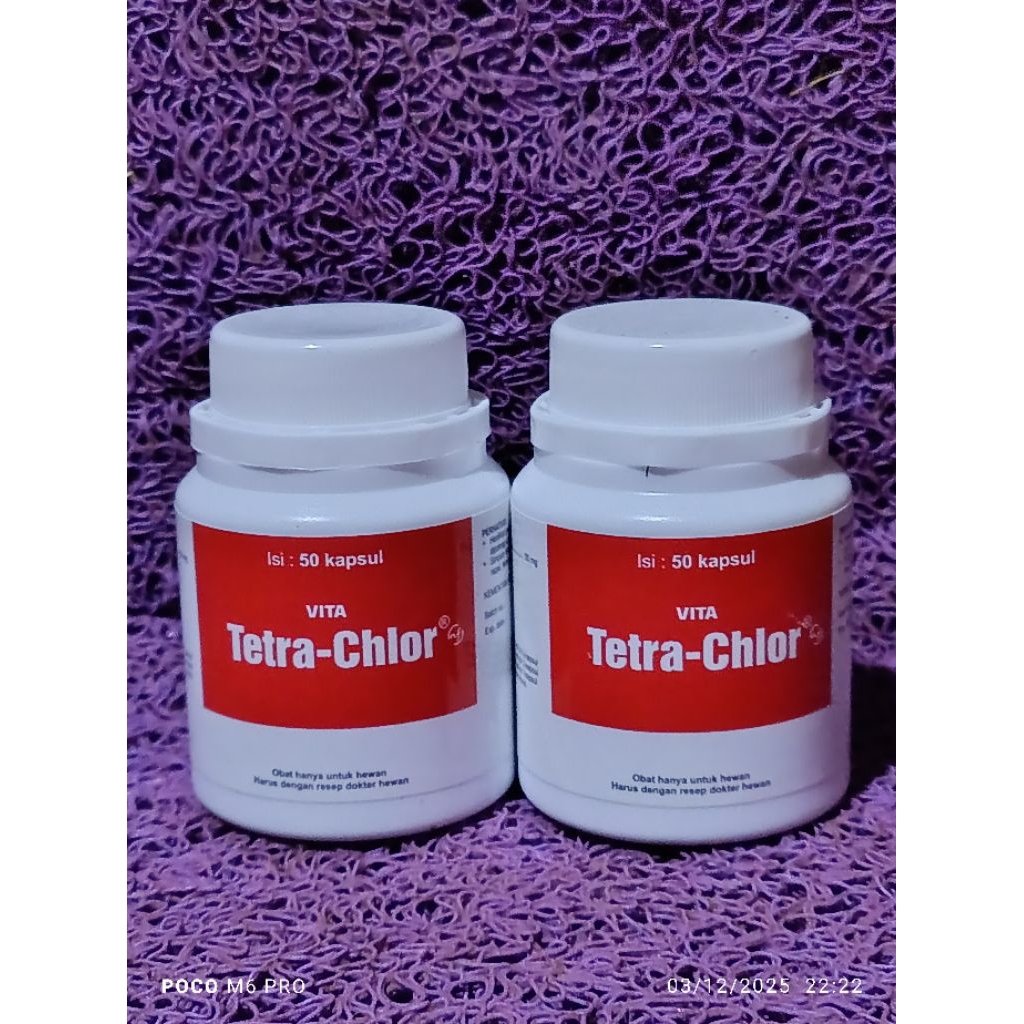 Tetra chlor  50 kapsul obat ayam ngorok