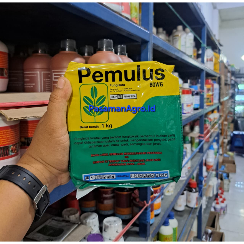 FUNGISIDA PEMULUS 80 WG - 1 KG
