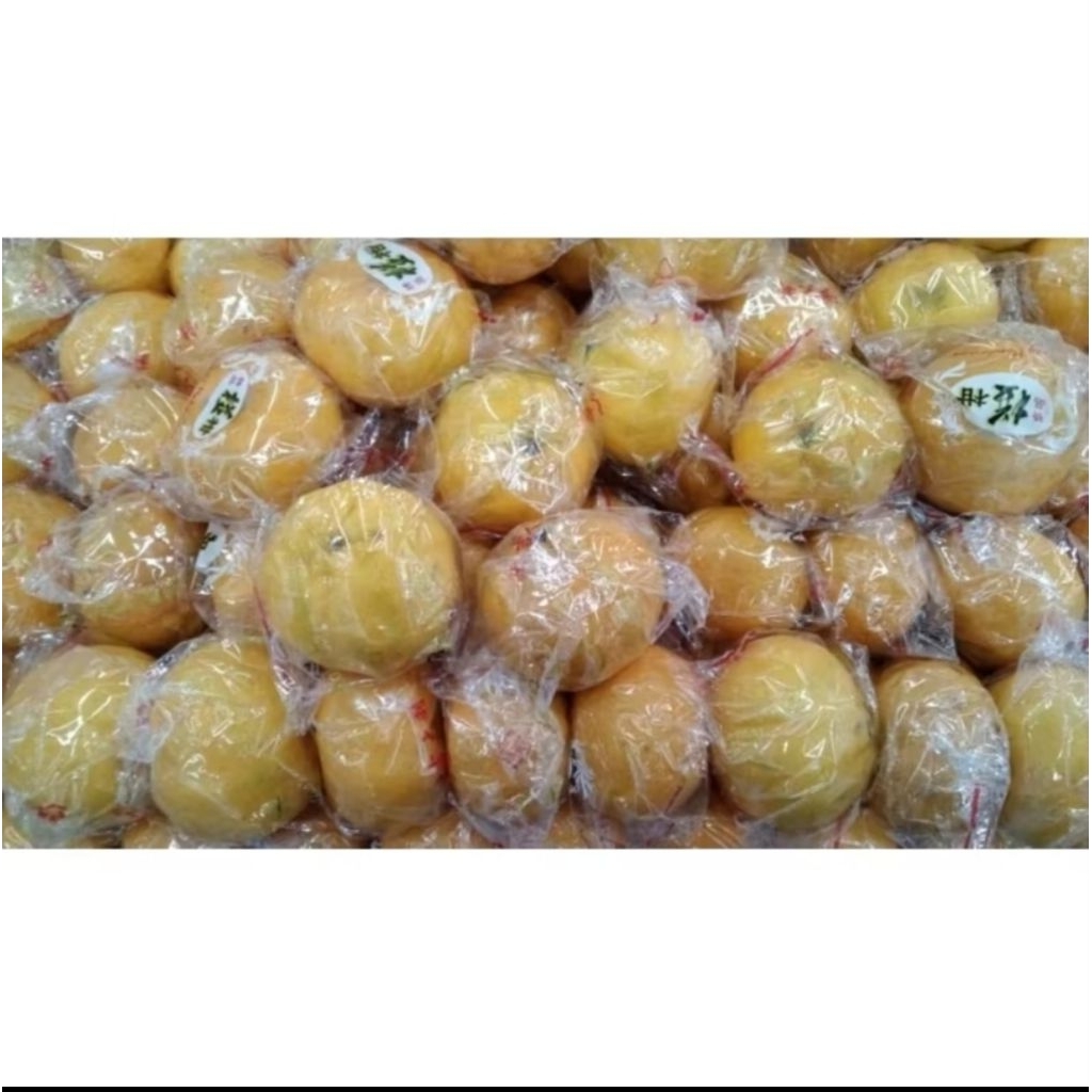buah jeruk early ponkam mandarin jeruk ponkam manis fresh 1kg