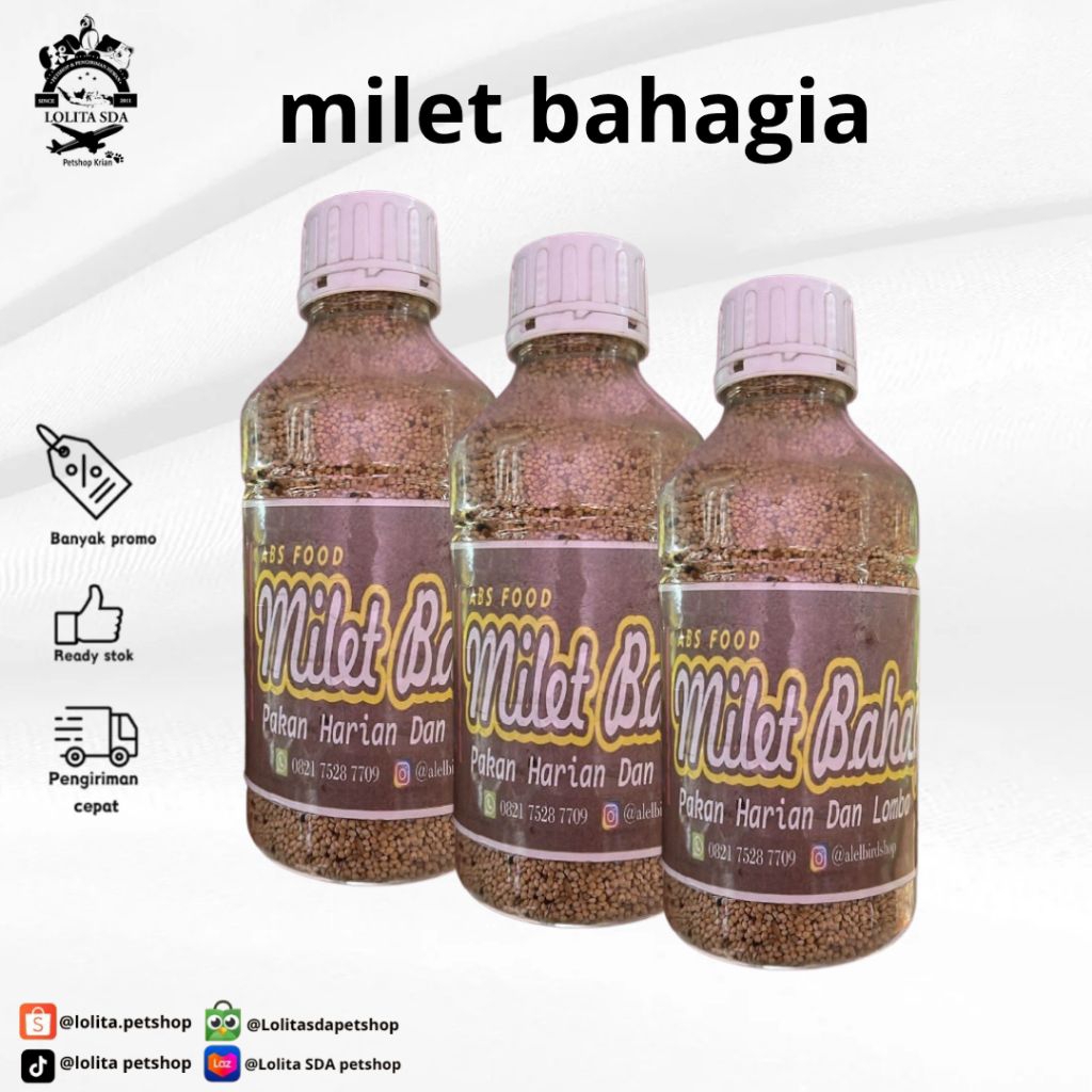 Abs food milet bahagia pakan harian dan lomba