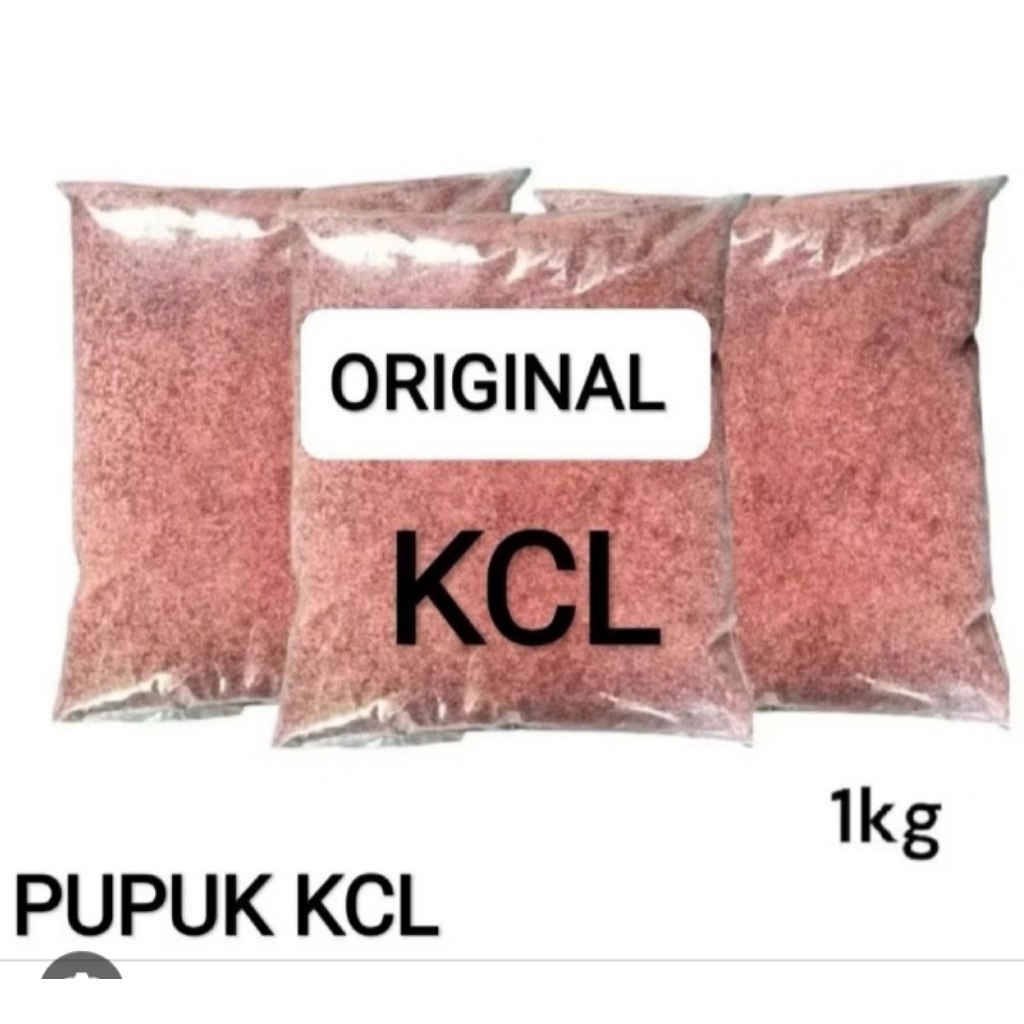 pupuk kcl 1kg bungkusan asli