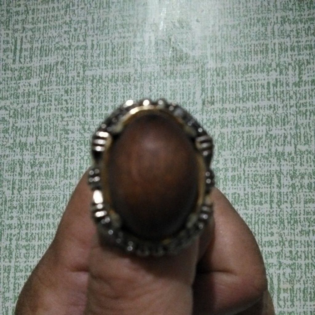 Batu Fosil Kayu Stigi Laut