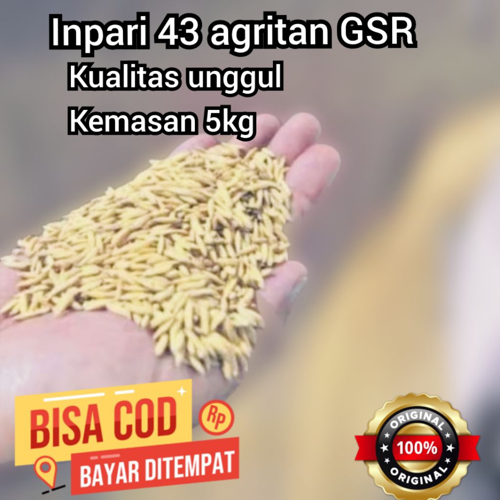 BENIH PADI INPARI 43 AGRITAN GSR kemasan 5kg