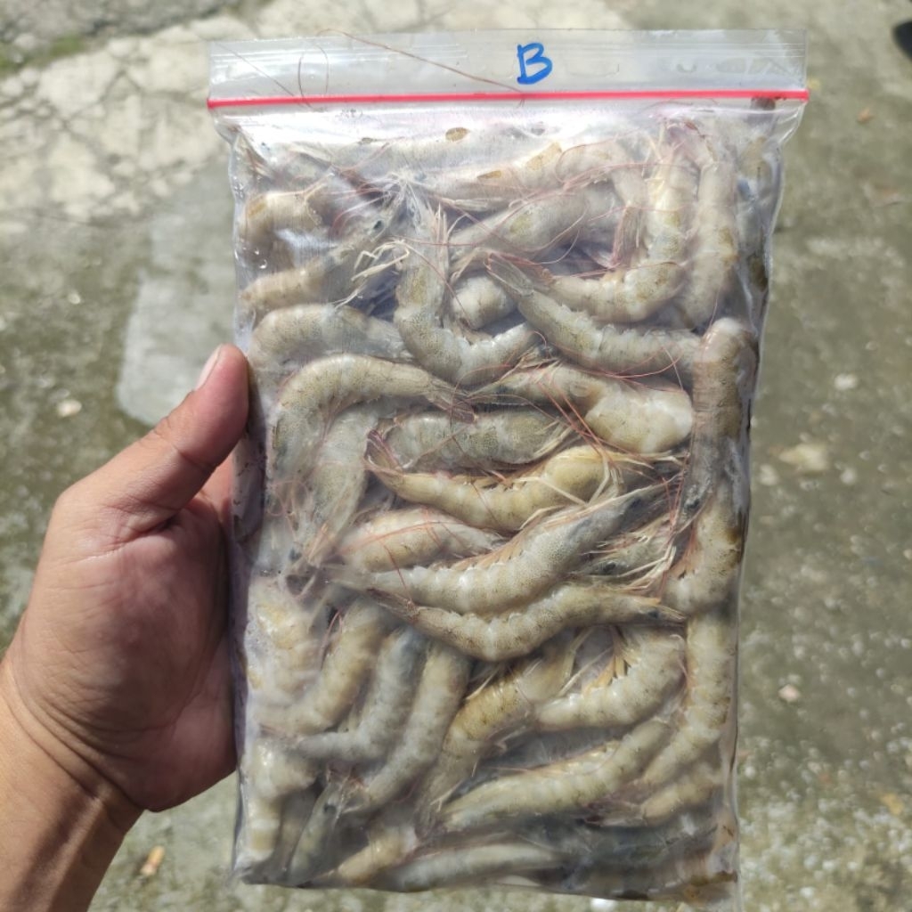 UDANG API BESAR / UDANG API BEKU BESAR 500GR/ UDANG API MURAH / UDANG API