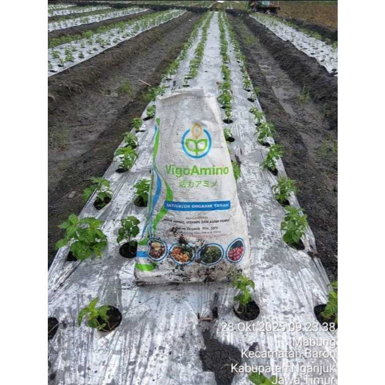 PUPUK VIGO AMINO 25KG ASAM HUMAT, VITAMIN, DAN ASAM AMINO