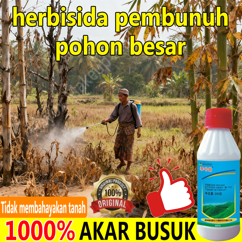 Obat Pembasmi Rumput Racun Rumput Paling Ampuh Obat Pembunuh Pohon Besar Tree Killer Racun Pohon Bes