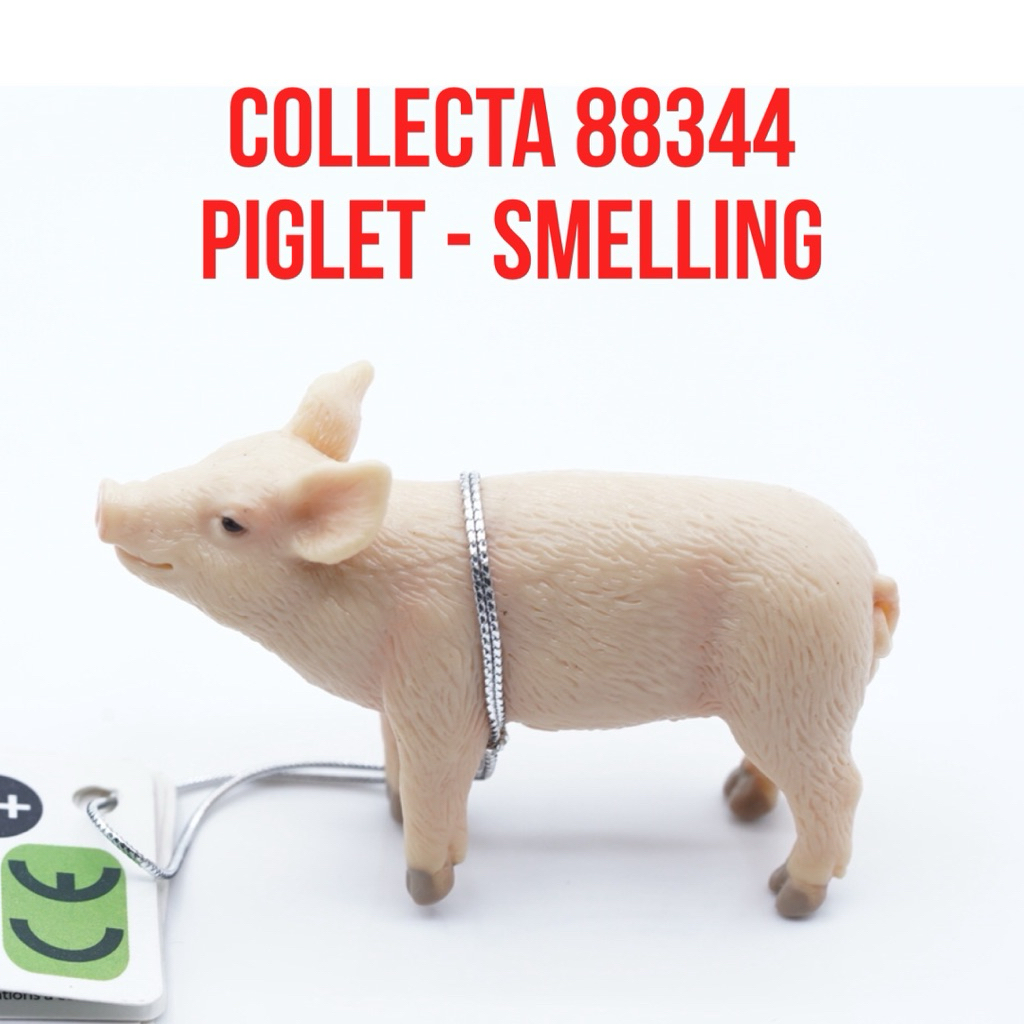 Collecta 88344 | Piglet Smelling Anak Babi Sus Scrofa | Mainan Figure Binatang Miniature Hewan Anima