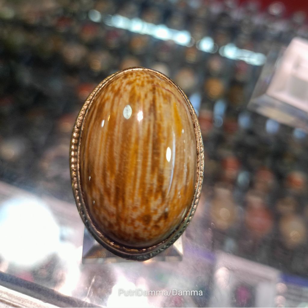 Cincim Batu fosil kelor / jumbo (Natural)