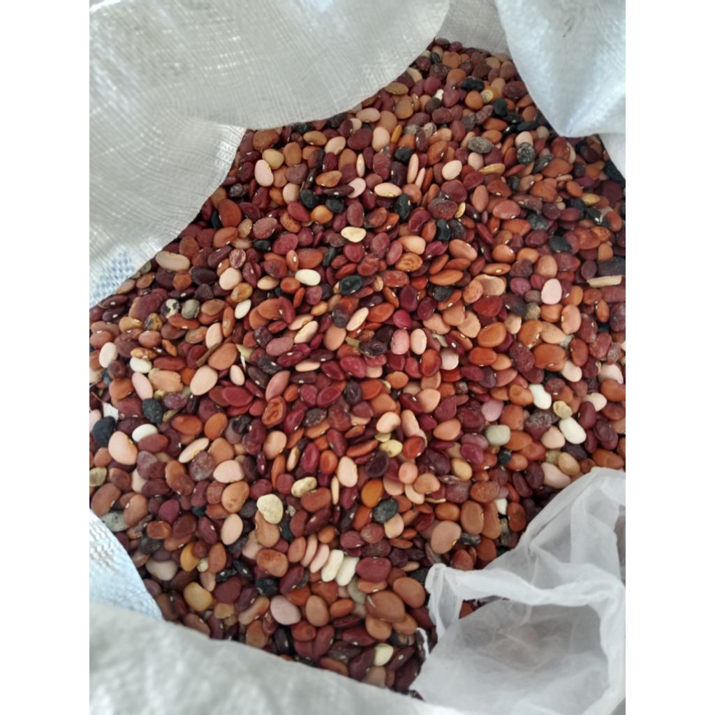 kacang koro merah lokal mentah 1kg