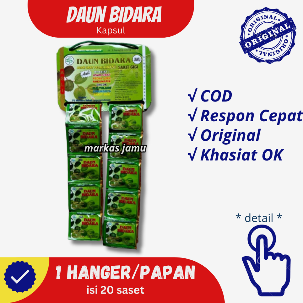 kapsul daun bidara