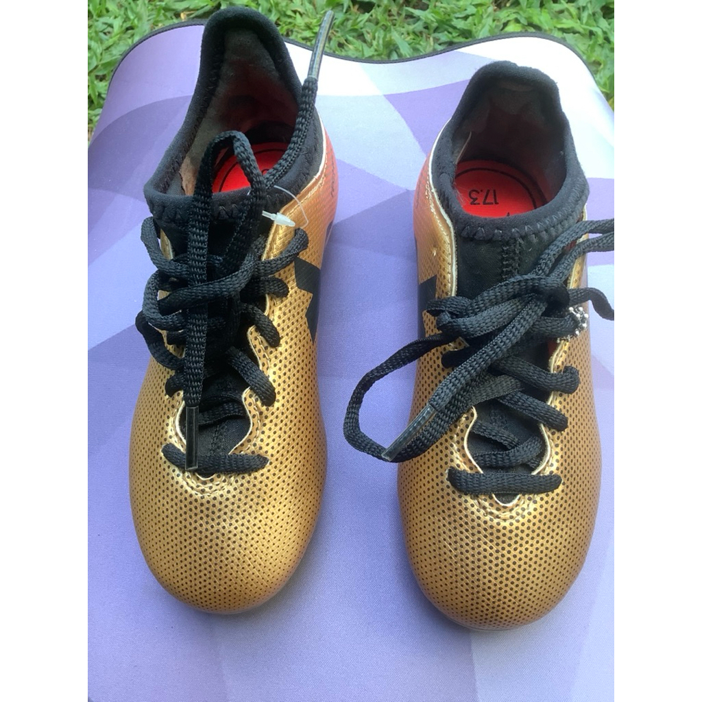 ADIDAS Sepatu Sepakbola Anak, X 17.3 FG football boot