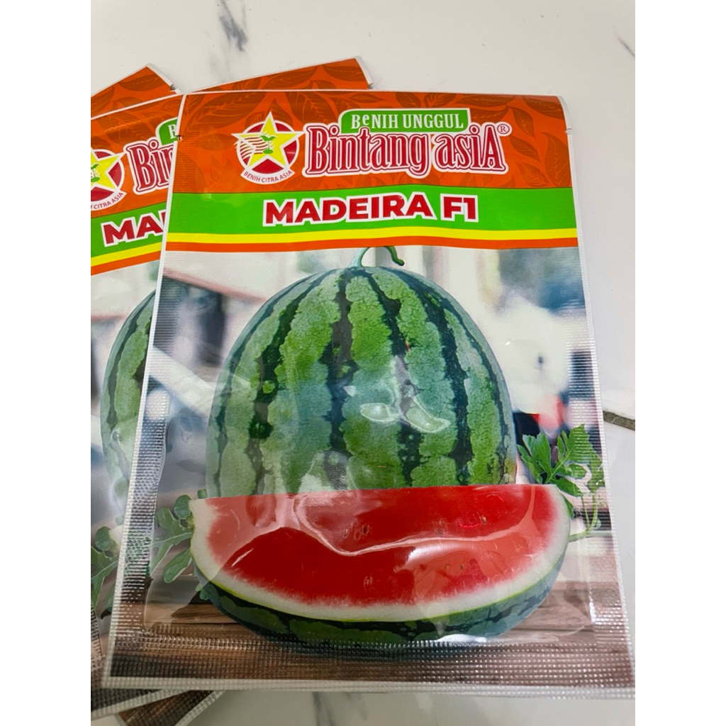 Benih Semangka Berbiji Lorek MADEIRA F1 20 gr Bintang Asia