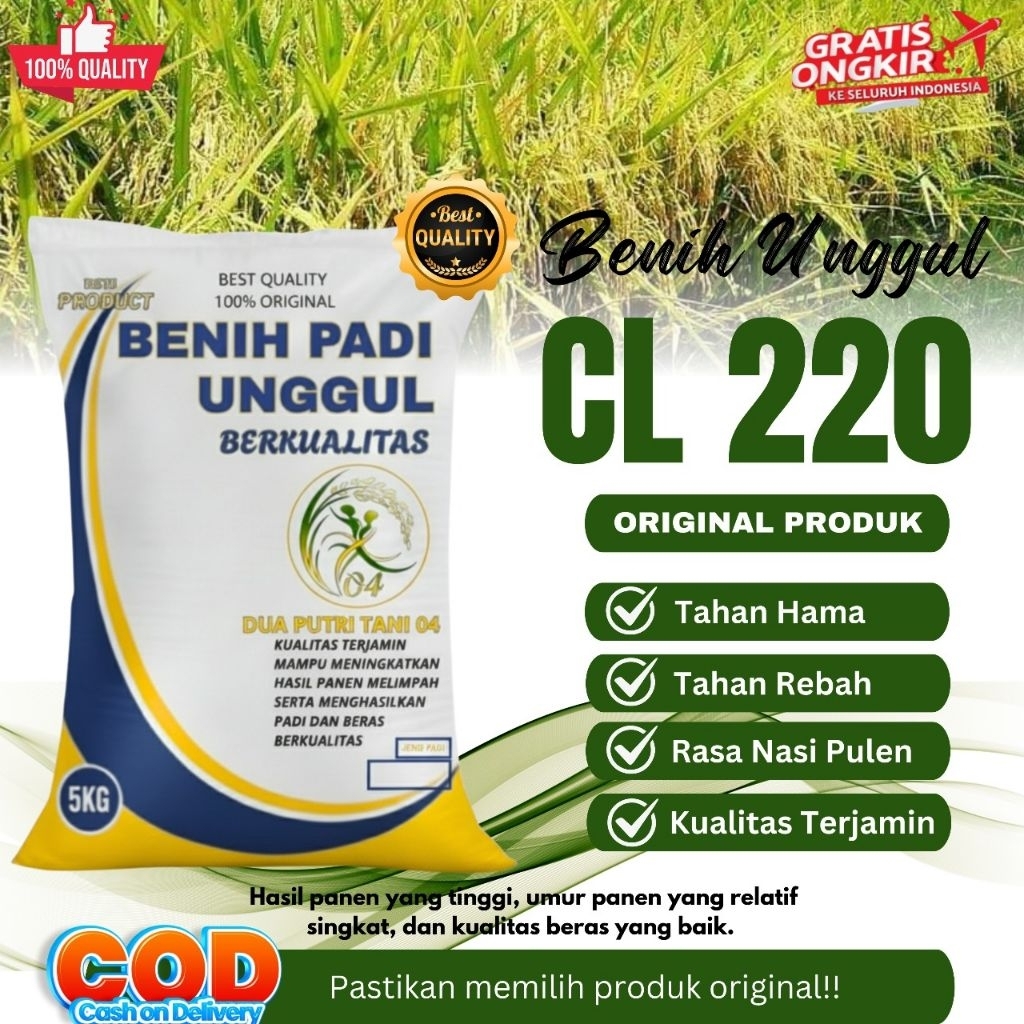 BIBIT PADI CL 220 KEMASAN 5KG