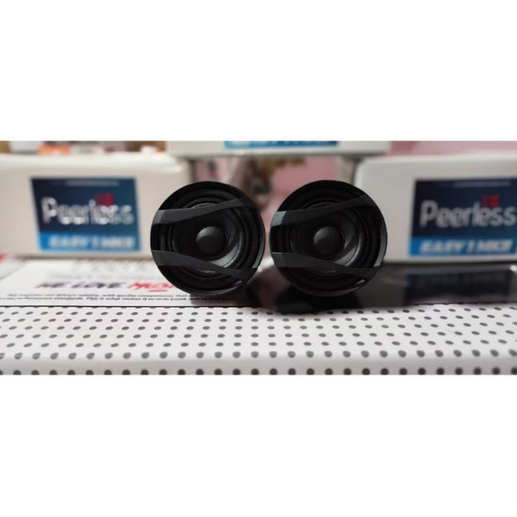 TWEETER FULLRANGE PEERLESS EASY 1