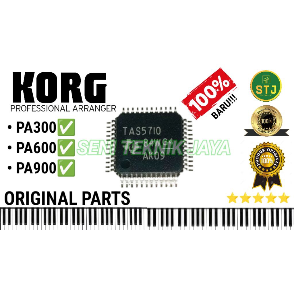 IC AUDIO KORG PA 300 PA600 PA900