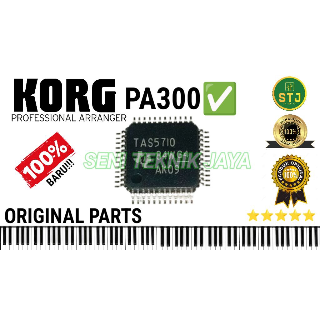 IC AUDIO KORG PA300 PA 300