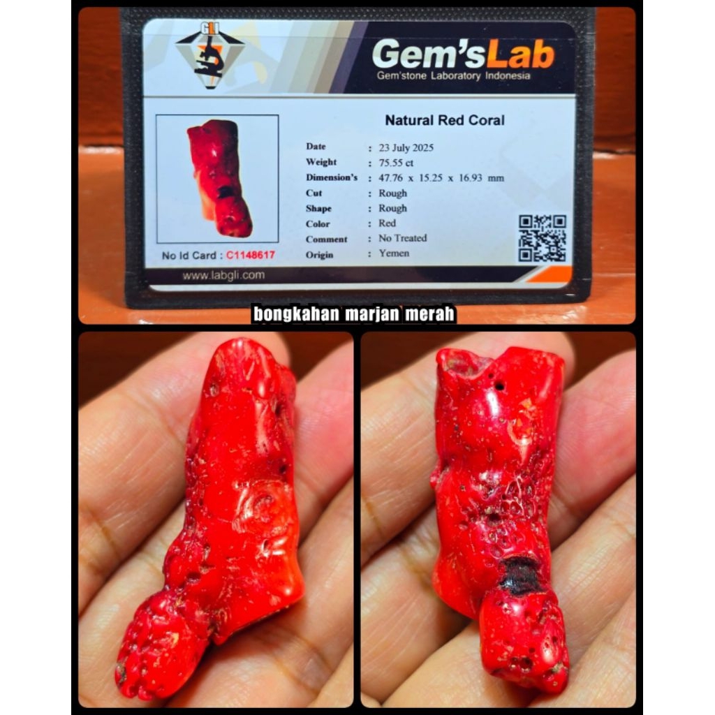 batu Marjan coral asli laut merah ( bongkahan ya )