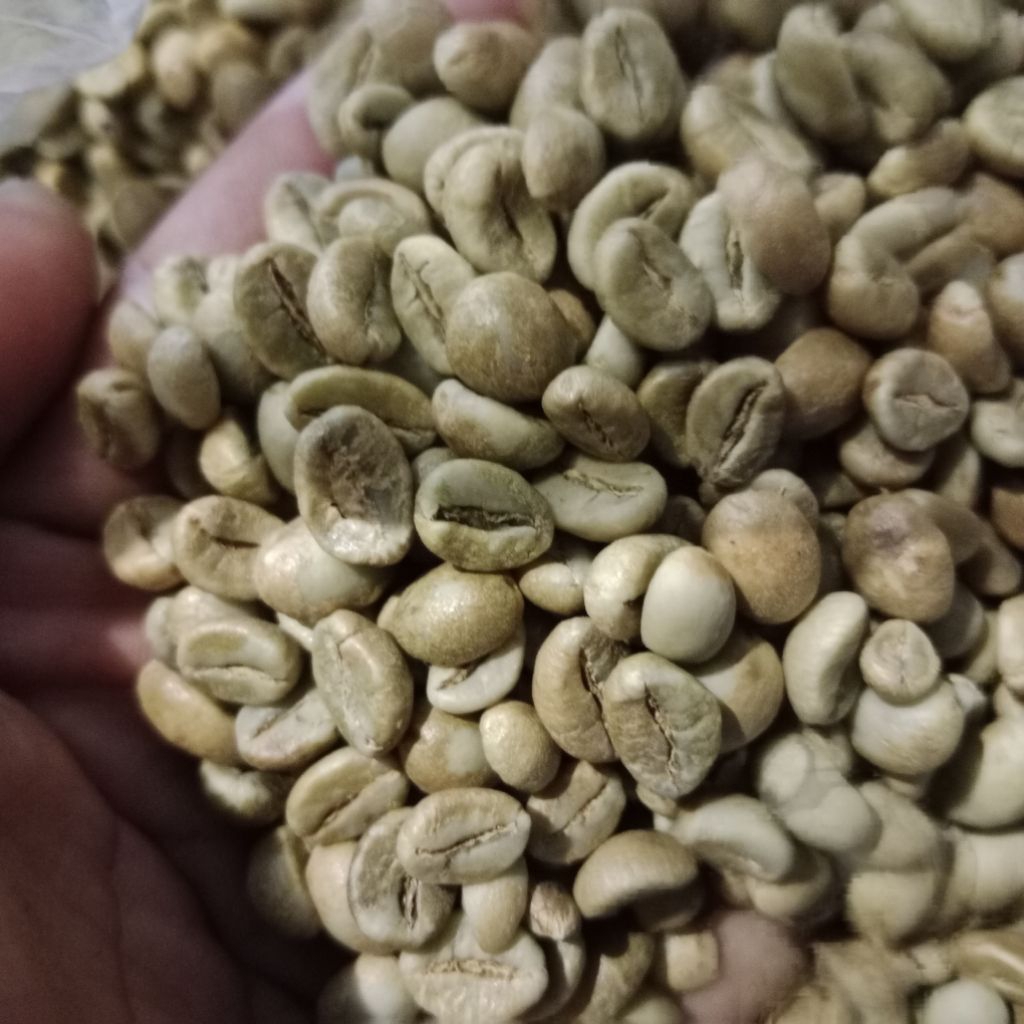 kopi hijau temanggung 1kg
