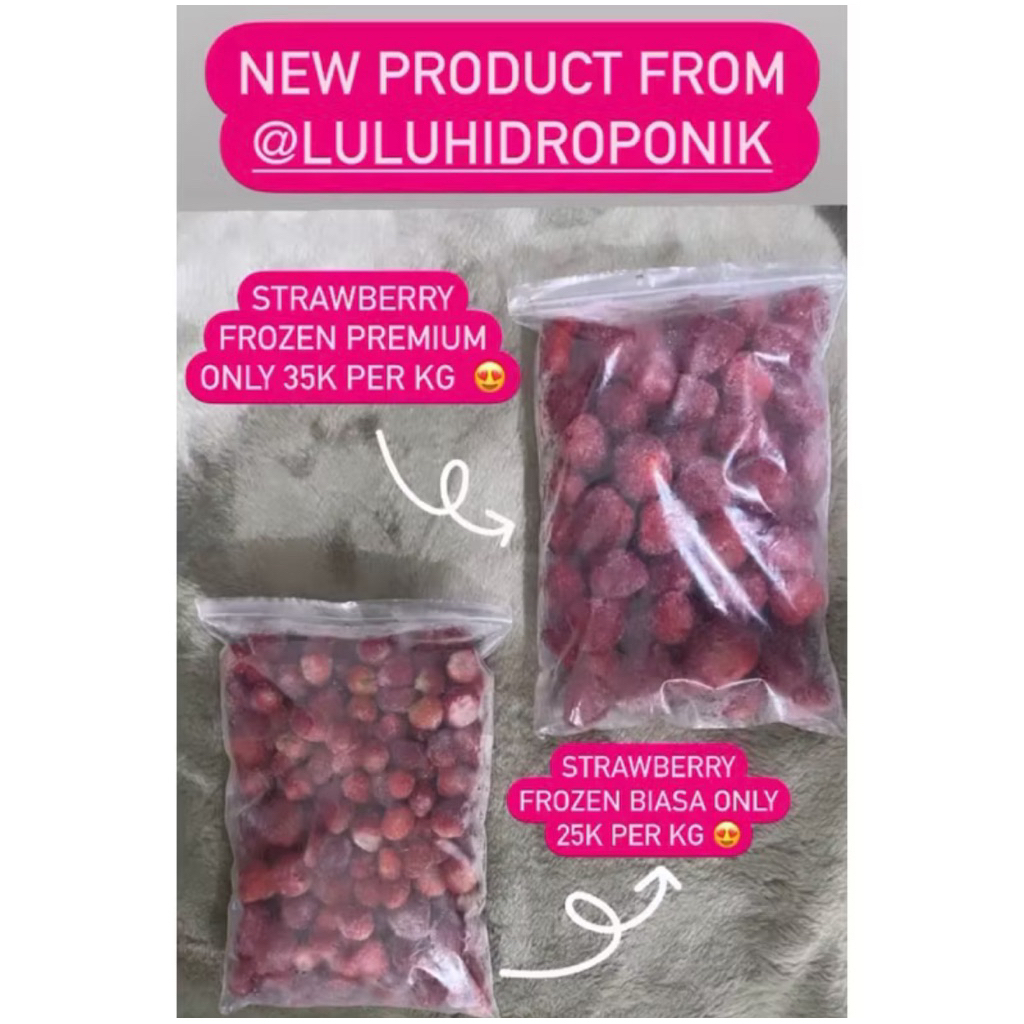STROBERI STRAWBERRY BESAR BESAR FROZEN BEKU