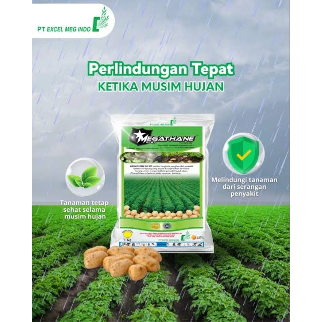 Fungisida Mancozeb MEGATHANE 500grm