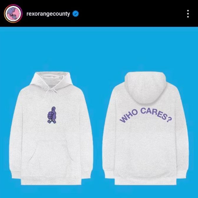 Rex Orange County - Who Cares? Sad Purple | Merch Tshirt