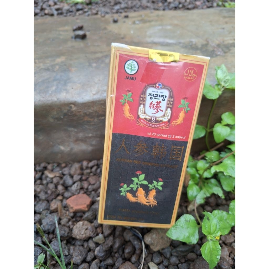 Ginseng korea kapsul original Korean red ginseng