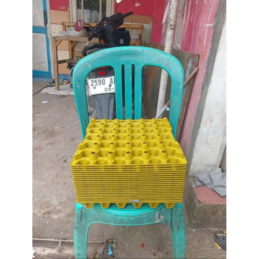 egg tray tempat telur bekas seperti baru