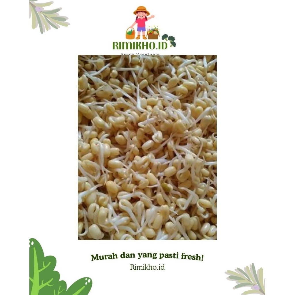 SAYUR SEGAR~KECAMBAH/TAUGE PENDEK