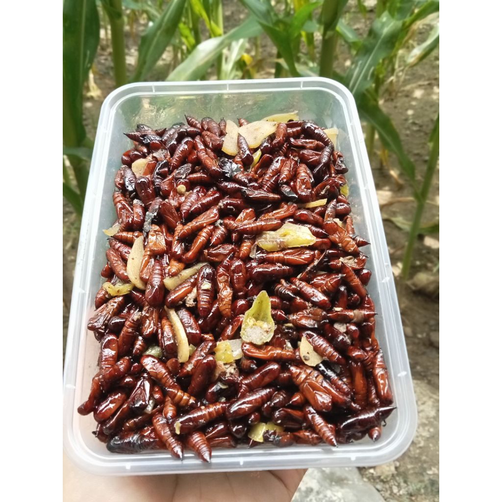 Entung jati goreng / ungker jati goreng gurih mantap Kemasan 150gram