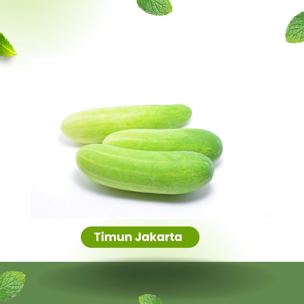 TIMUN JAKARTA TIMUN LALAPAN