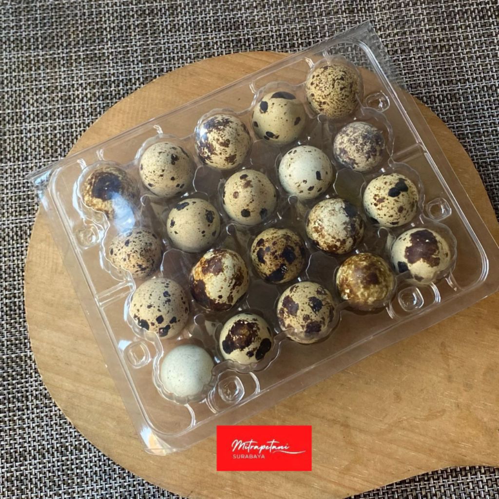 Telur puyuh/telur puyuh mentah 20 biji
