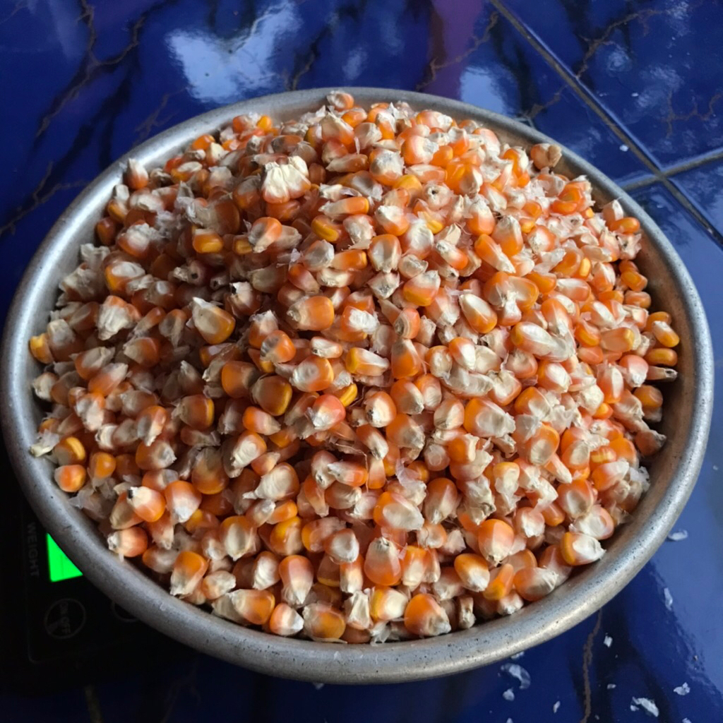 JAGUNG KERING PAKAN BURUNG / JAGUNG HIBRIDA PAKAN TERNAK