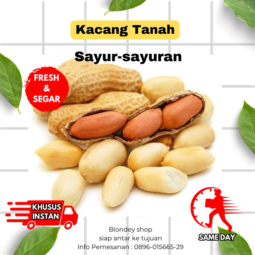 Kacang kacangan - Kacang Kulit Tanah 250gram Kacang Tanah Sangrai Fresh Alami Kualitas Super Tinggi