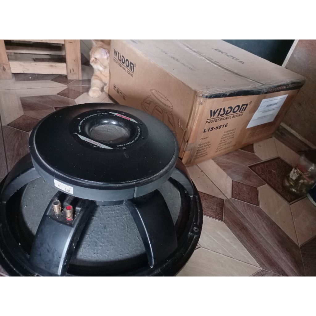 Speaker Wisdom 18L6616 Secon