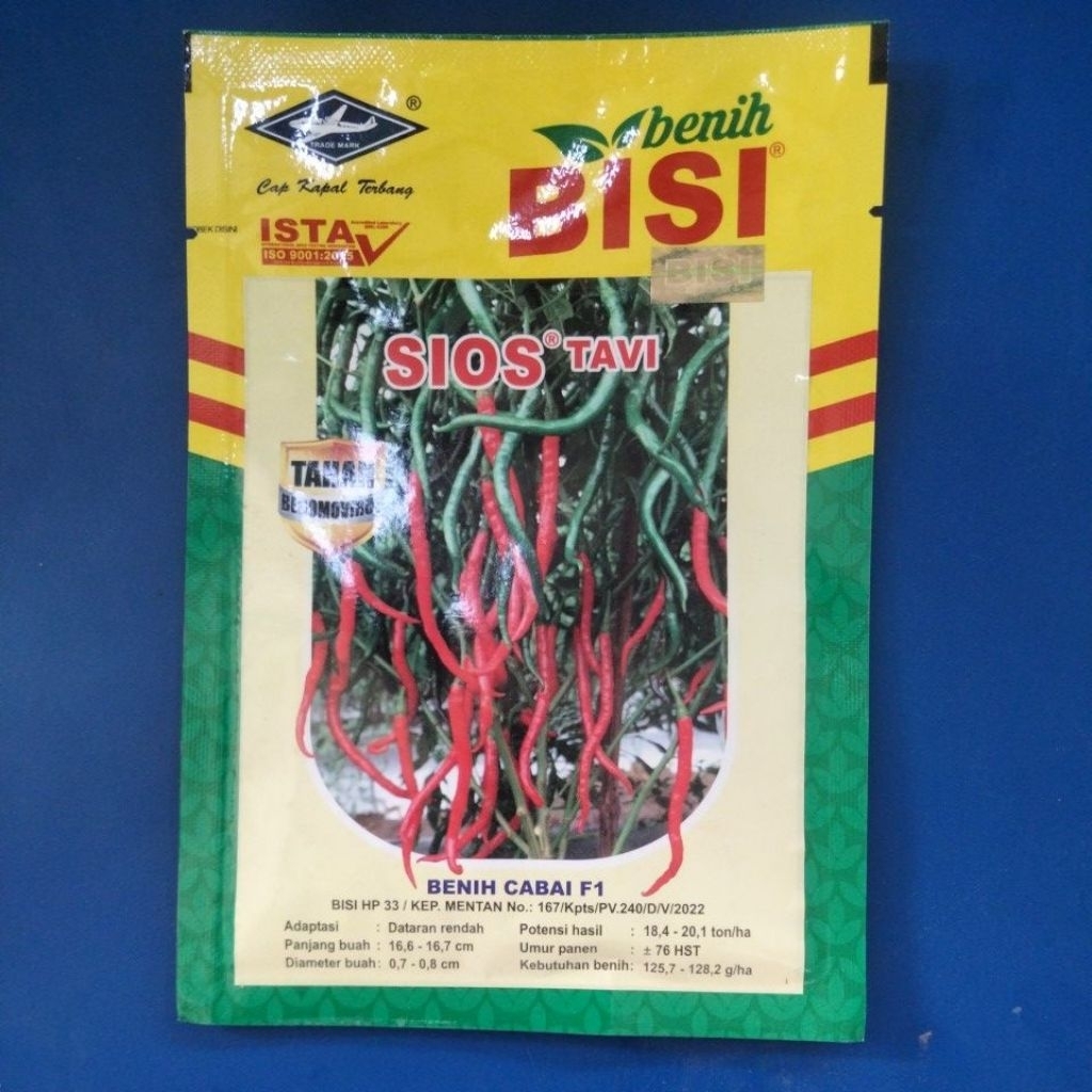 Sios Tavi Benih Cabe Kapal Terbang