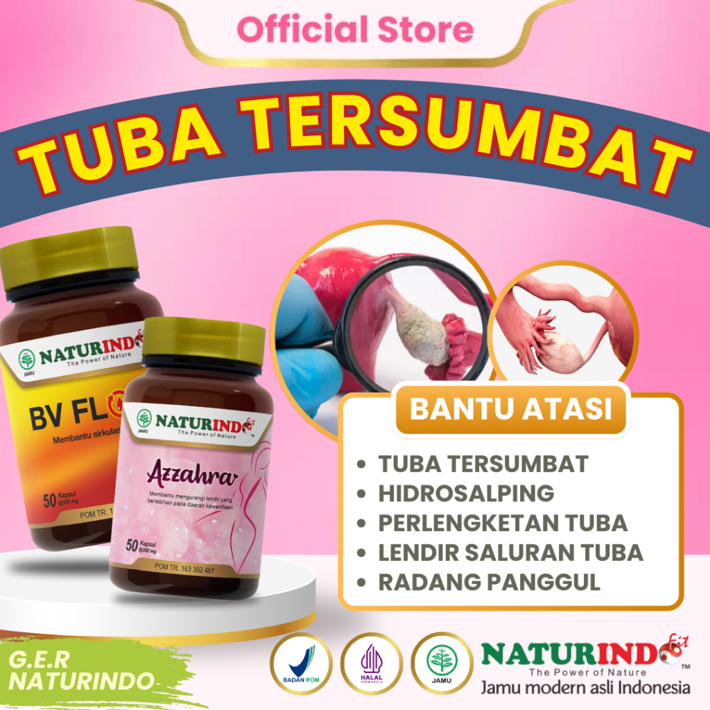 Herbal Tuba Falopi Tersumbat Hidrosalping Penyumbatan Saluran Tuba Falopi GER NATURINDO
